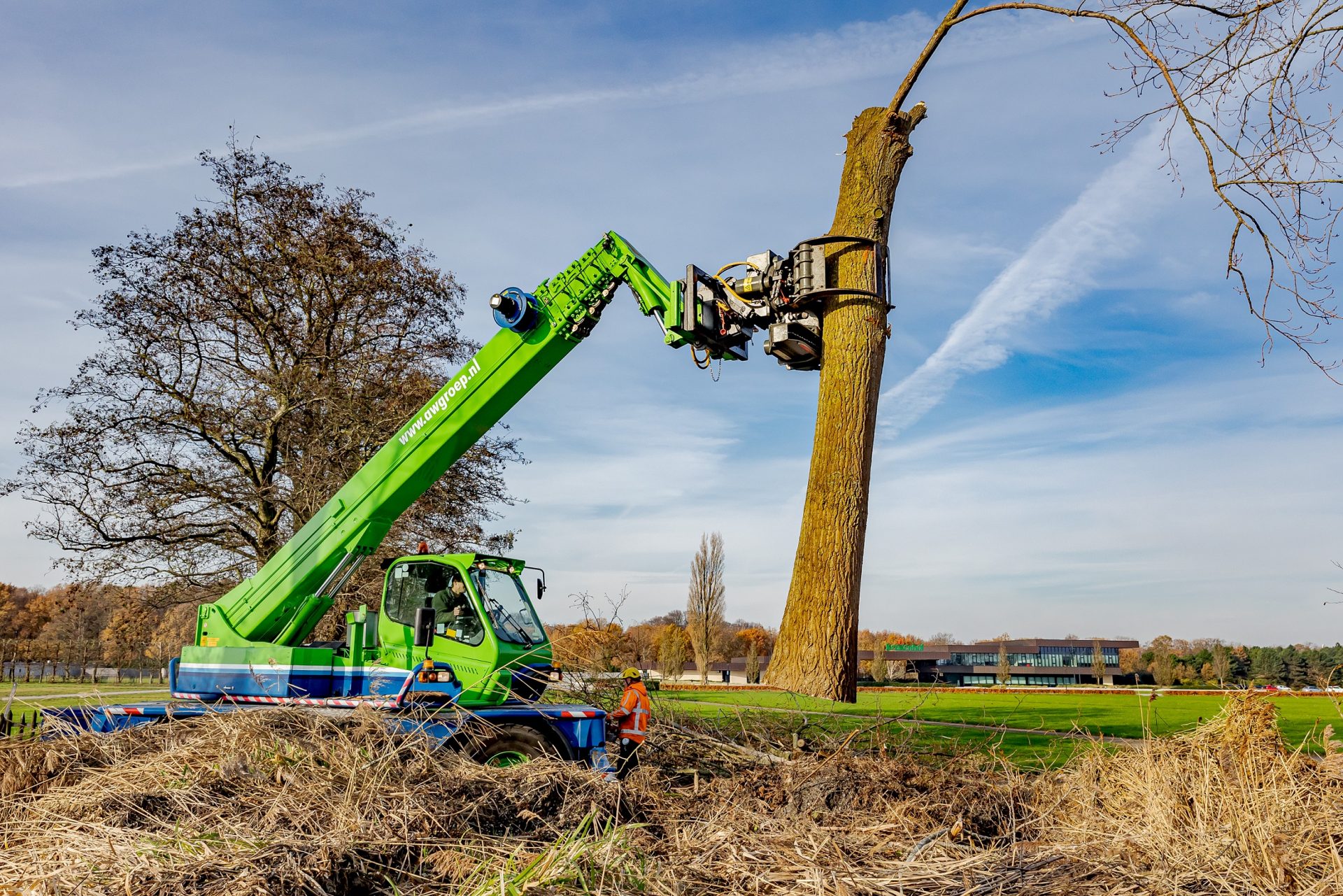 Populieren vervangen langs de Westelijke Randweg in Lisse